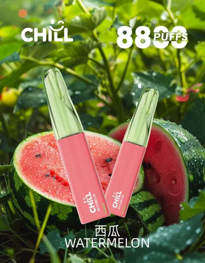 001-01.webp CHILL 鴨嘴獸8800口拋棄式電子煙 潮流造型一次性電子煙 長效容量設計 便攜式電子煙設備 多口味系列推薦 台灣現貨