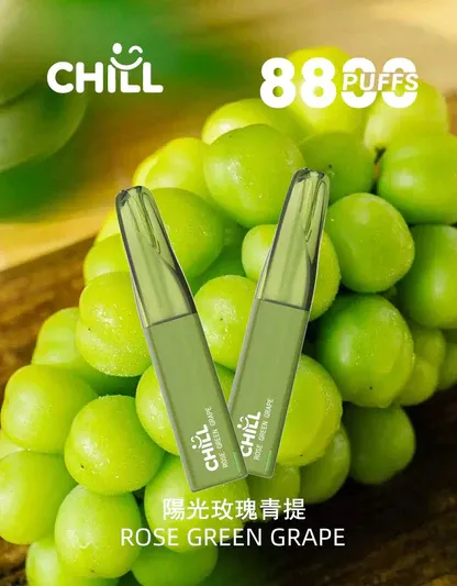 001-06.webp CHILL 鴨嘴獸8800口拋棄式電子煙 潮流造型一次性電子煙 長效容量設計 便攜式電子煙設備 多口味系列推薦 台灣現貨