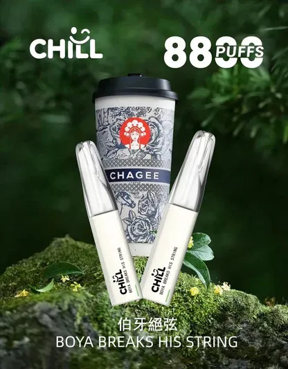 001-12.webp CHILL 鴨嘴獸8800口拋棄式電子煙 潮流造型一次性電子煙 長效容量設計 便攜式電子煙設備 多口味系列推薦 台灣現貨