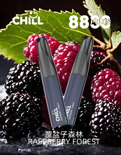 001-13.webp CHILL 鴨嘴獸8800口拋棄式電子煙 潮流造型一次性電子煙 長效容量設計 便攜式電子煙設備 多口味系列推薦 台灣現貨
