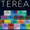 IQOS TEREA 日版專用加熱煙彈 加熱式電子煙煙彈 適用IQOS ILUMA系列設備 日常替換補充使用 台灣現貨