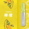 Mist X 鴨嘴獸6500口拋棄式電子煙 長效容量設計 日常攜帶使用 方便即用型一次性電子煙 台灣現貨