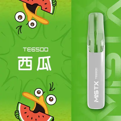 Mist X 鴨嘴獸6500口拋棄式電子煙 長效容量設計 日常攜帶使用 方便即用型一次性電子煙 台灣現貨