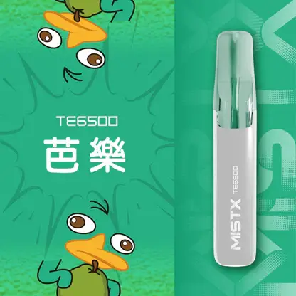 Mist X 鴨嘴獸6500口拋棄式電子煙 長效容量設計 日常攜帶使用 方便即用型一次性電子煙 台灣現貨