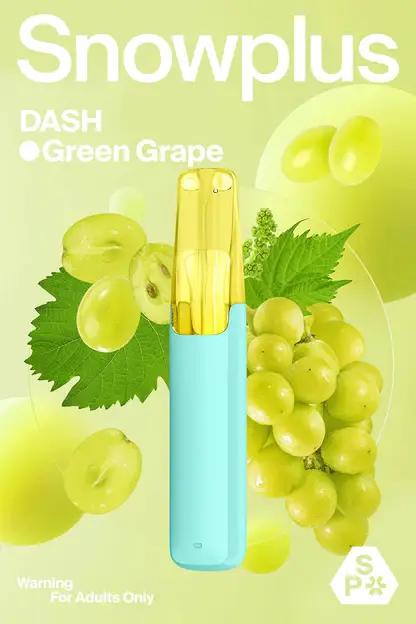 Snowplus DASH 4000口拋棄式電子煙 4000口長效容量設計 外出攜帶方便 日常使用推薦 台灣現貨