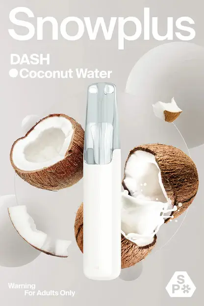 Snowplus DASH 4000口拋棄式電子煙 4000口長效容量設計 外出攜帶方便 日常使用推薦 台灣現貨