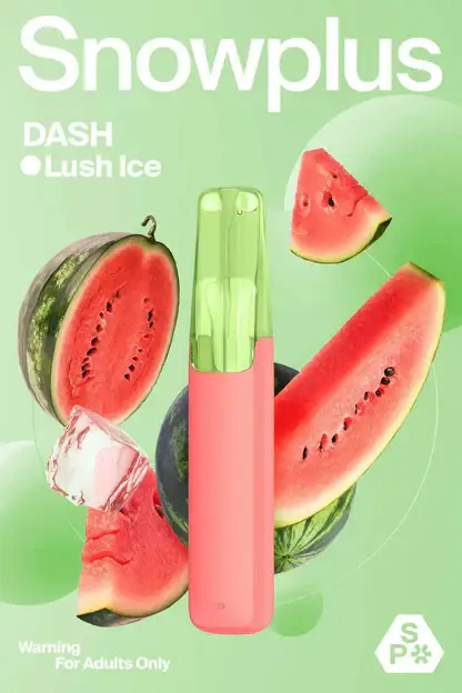 Snowplus DASH 4000口拋棄式電子煙 4000口長效容量設計 外出攜帶方便 日常使用推薦 台灣現貨