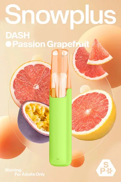 Snowplus DASH 4000口拋棄式電子煙 4000口長效容量設計 外出攜帶方便 日常使用推薦 台灣現貨