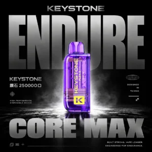 【買一盒煙彈送主機】KEYSTONE FLEX-3 鑰石 25000口拋棄式電子煙 便攜輕巧機身  外出使用推薦 台灣現貨